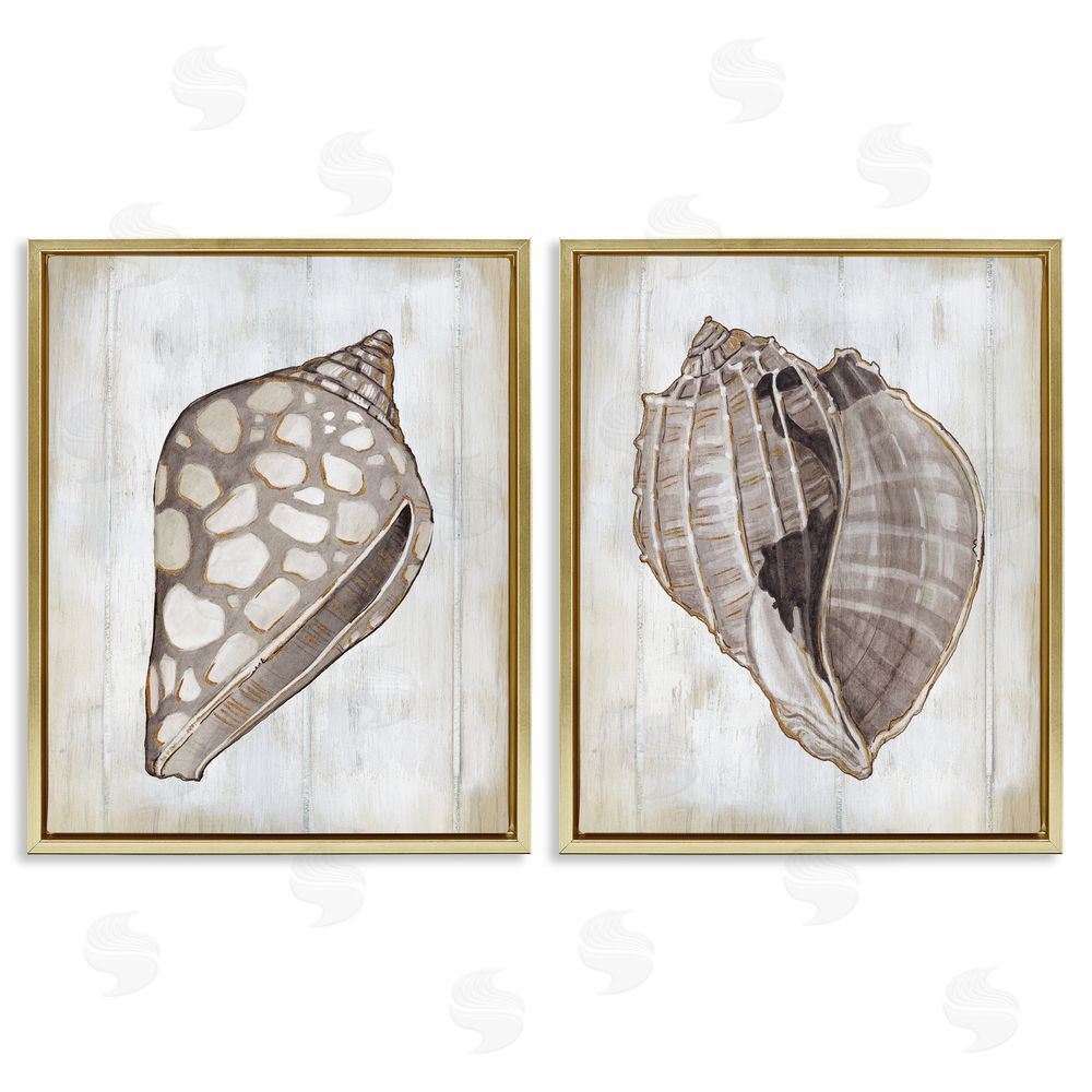 Carol Robinson Spotted Seashell Rustic Marine Life Gold Floating Frame Canvas Wall Art Print