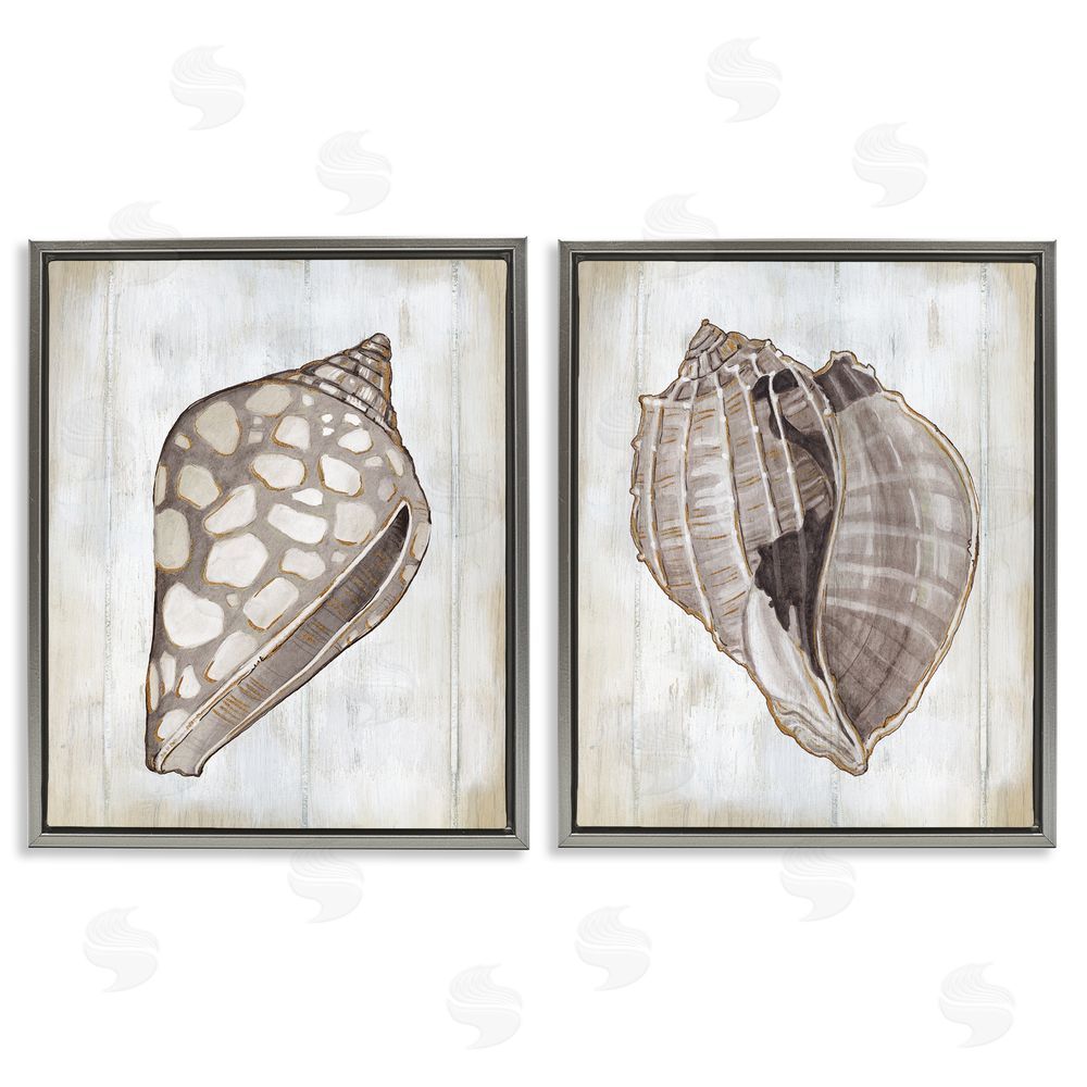 Carol Robinson Spotted Seashell Rustic Marine Life Gray Floating Frame Canvas Wall Art Print