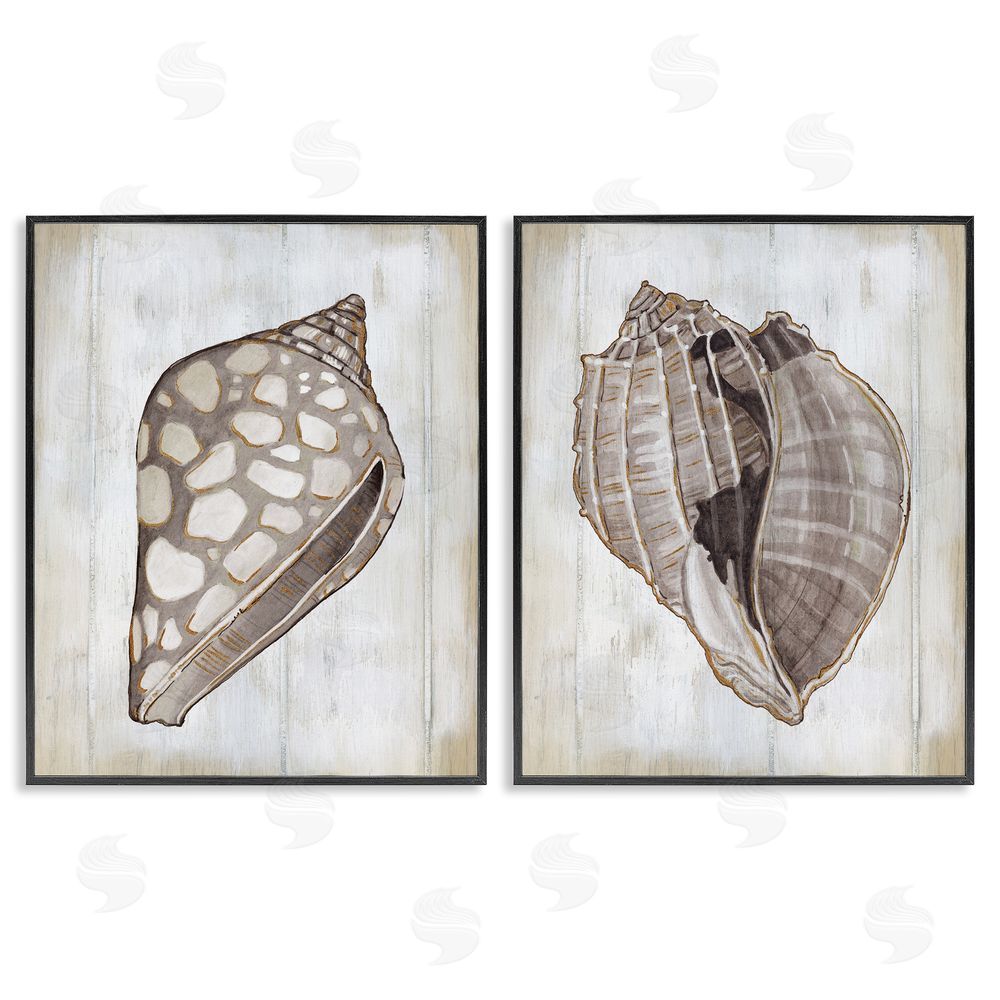 Carol Robinson Spotted Seashell Rustic Marine Life Black Framed Giclee Wall Art Print
