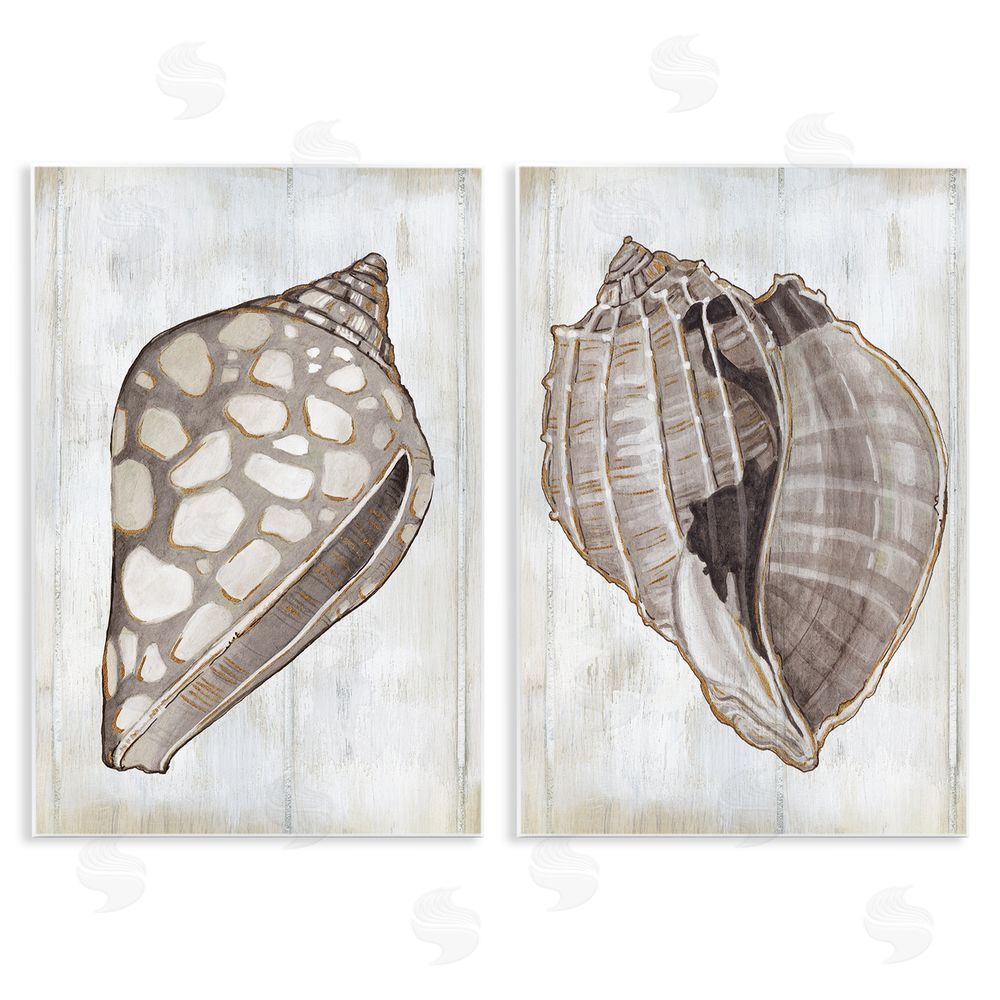Carol Robinson Spotted Seashell Rustic Marine Life Wooden Wall Plaque Art Print