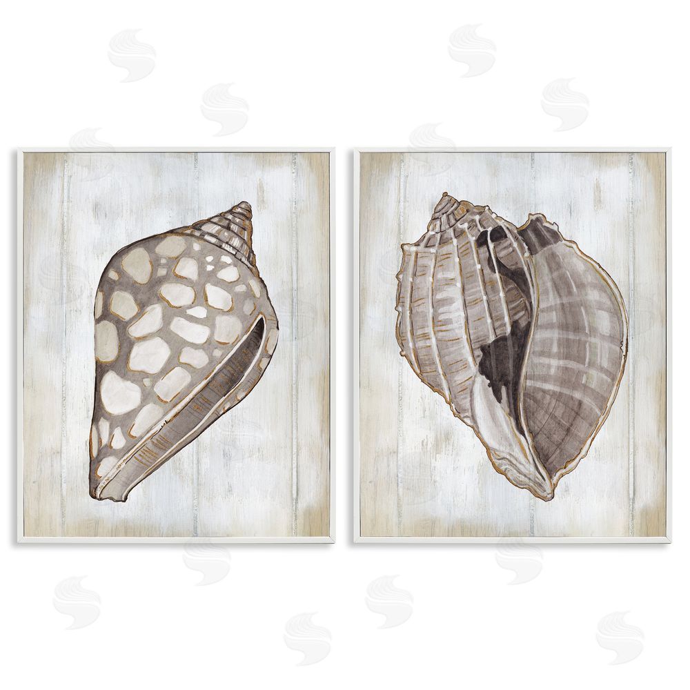 Carol Robinson Spotted Seashell Rustic Marine Life White Framed Giclee Wall Art Print