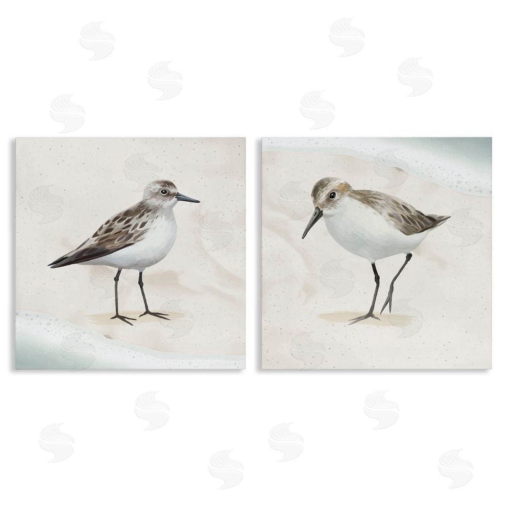 Lucca Sheppard Soothing Sandpiper Bird Stepping Canvas Wall Art Print