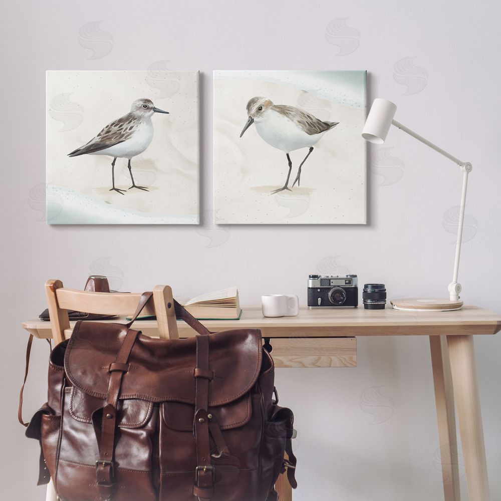 Lucca Sheppard Soothing Sandpiper Bird Stepping Canvas Wall Art Print in Room