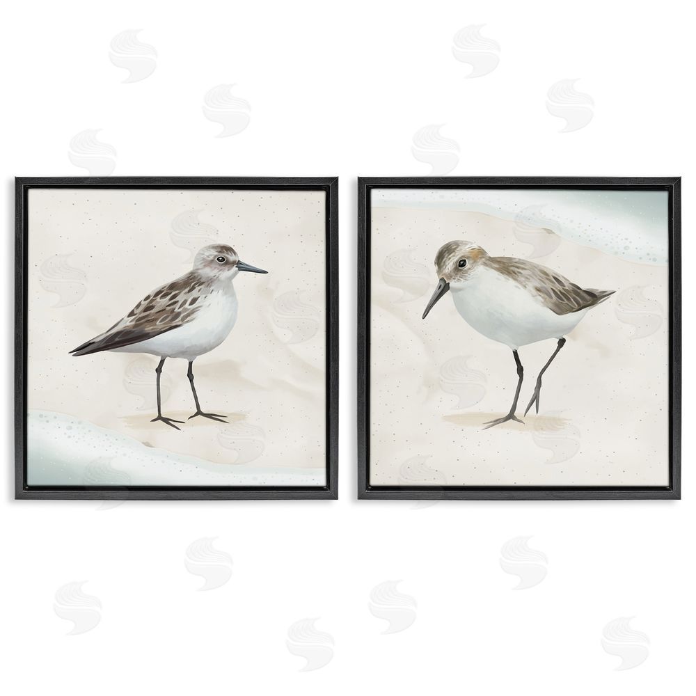 Lucca Sheppard Soothing Sandpiper Bird Stepping Black Floating Frame Canvas Wall Art Print