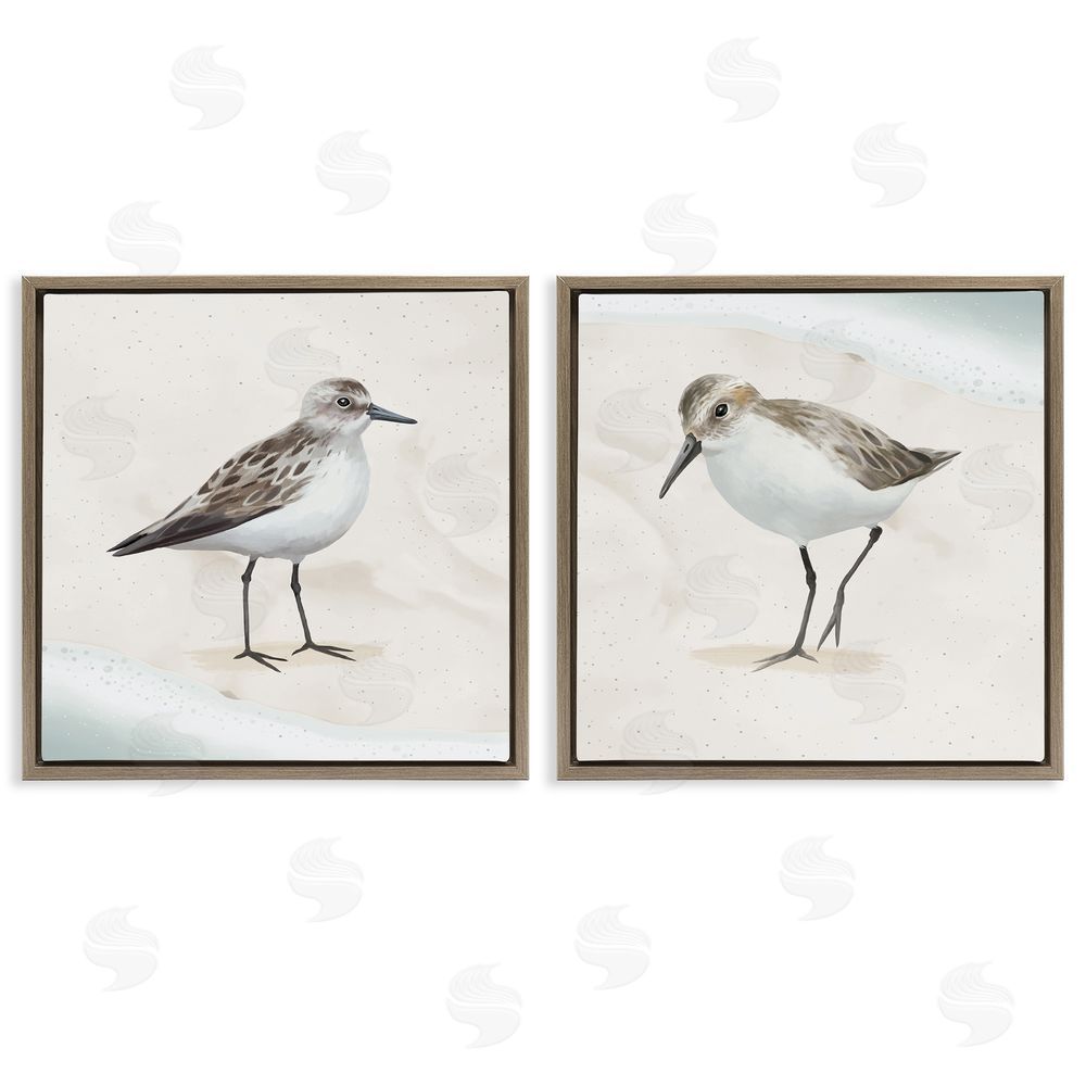 Lucca Sheppard Soothing Sandpiper Bird Stepping Brown Floating Frame Canvas Wall Art Print