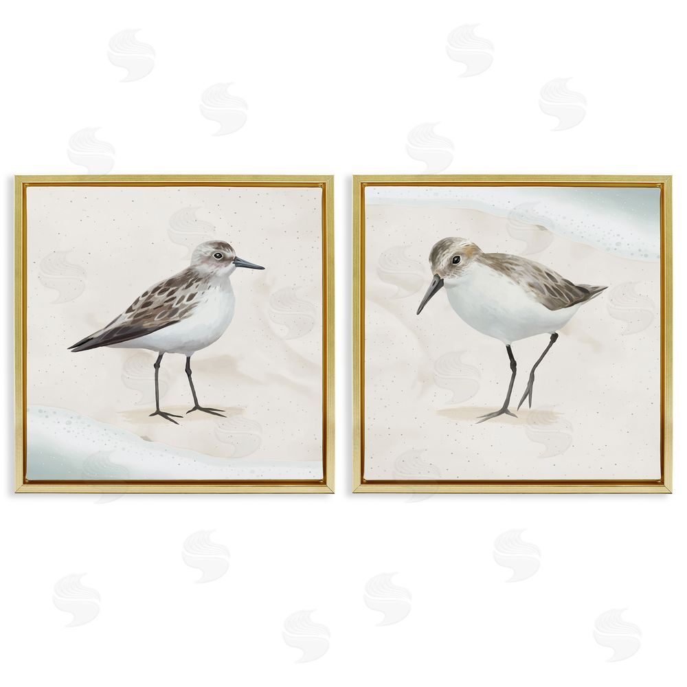 Lucca Sheppard Soothing Sandpiper Bird Stepping Gold Floating Frame Canvas Wall Art Print