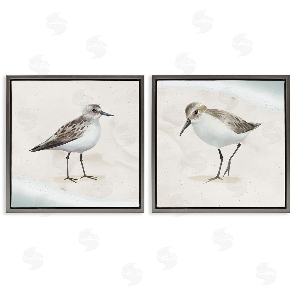 Lucca Sheppard Soothing Sandpiper Bird Stepping Gray Floating Frame Canvas Wall Art Print