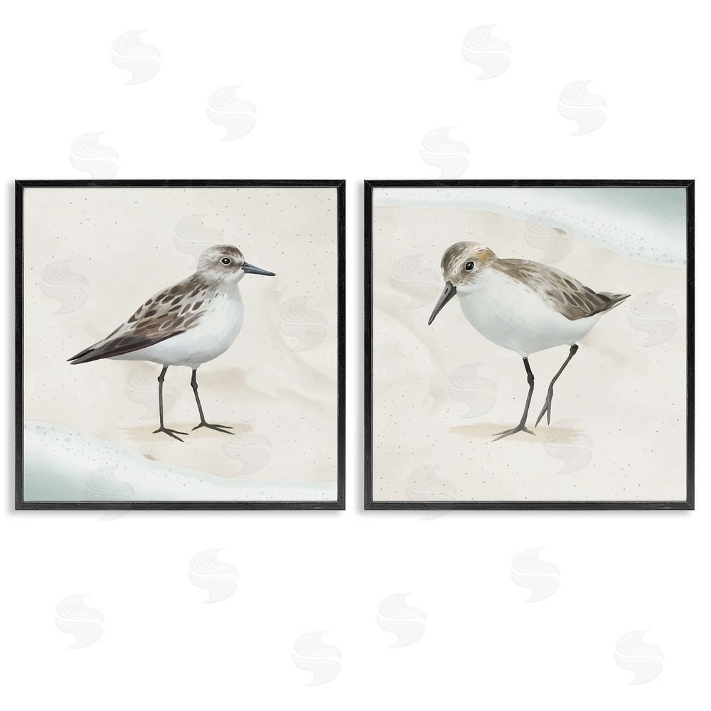 Lucca Sheppard Soothing Sandpiper Bird Stepping Black Framed Giclee Wall Art Print