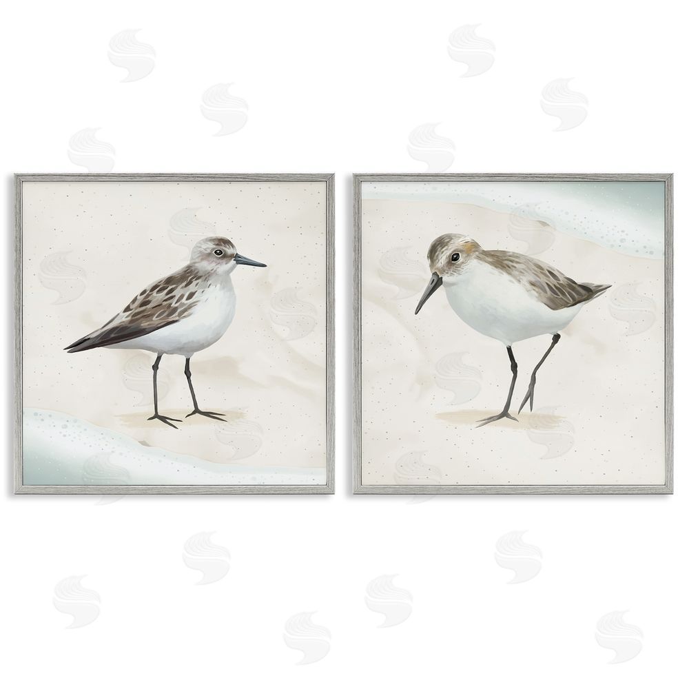 Lucca Sheppard Soothing Sandpiper Bird Stepping Gray Framed Giclee Wall Art Print