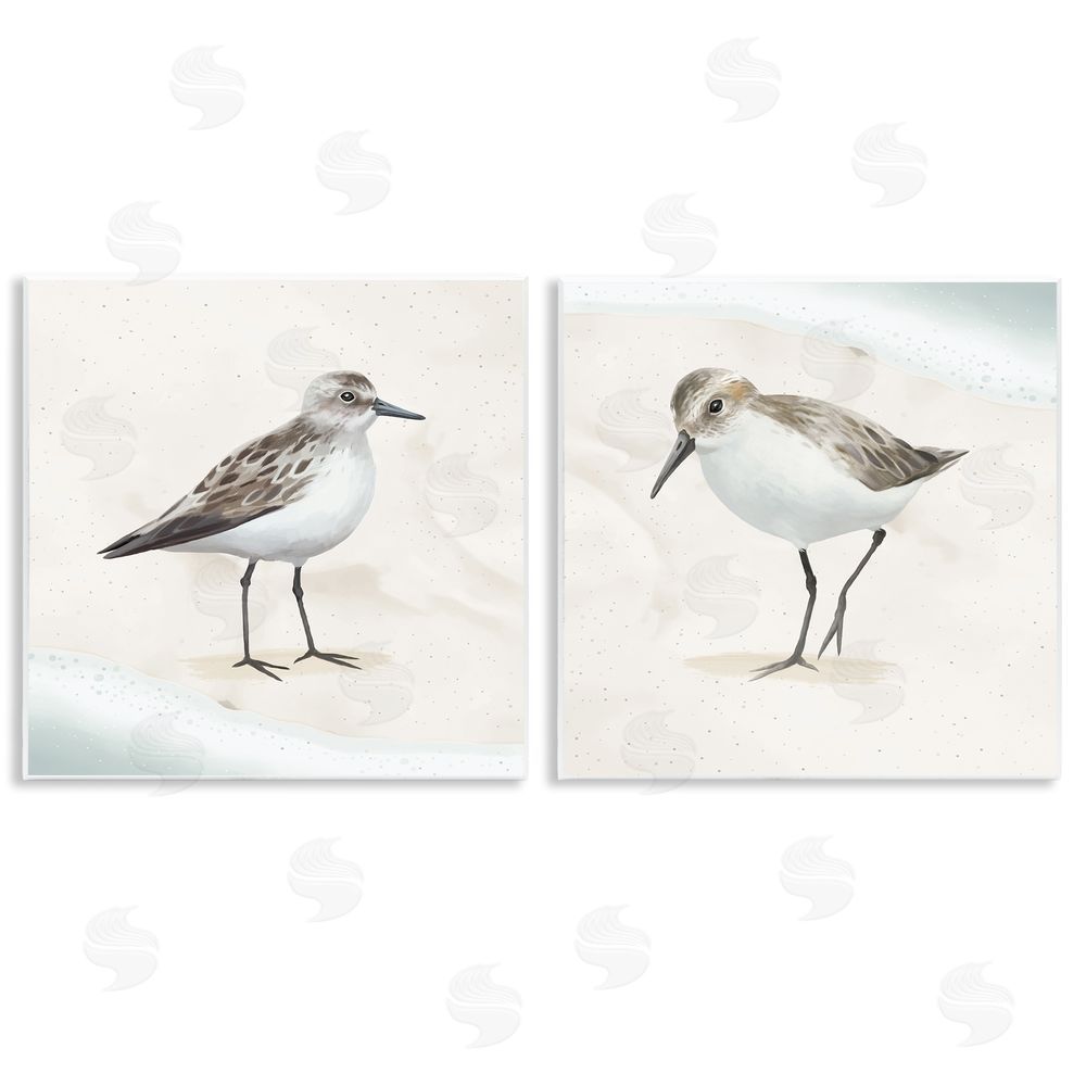 Lucca Sheppard Soothing Sandpiper Bird Stepping Wooden Wall Plaque Art Print