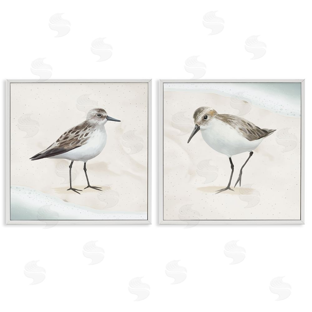 Lucca Sheppard Soothing Sandpiper Bird Stepping White Framed Giclee Wall Art Print