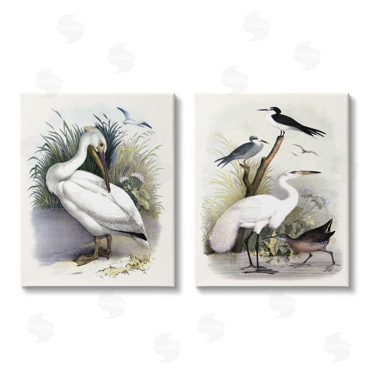 Piddix Wild Pelican Birds Avian Waterside  Canvas Wall Art Print