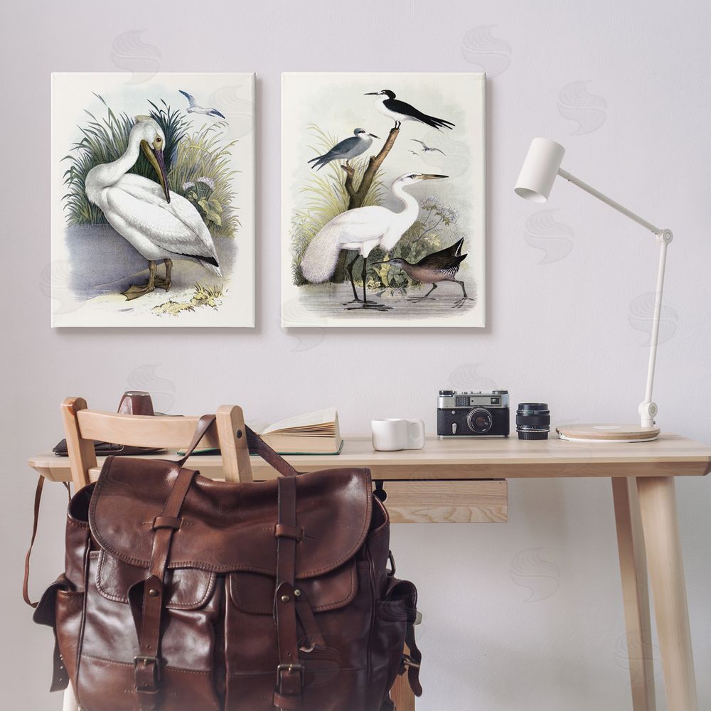 Piddix Wild Pelican Birds Avian Waterside  Canvas Wall Art Print in Room