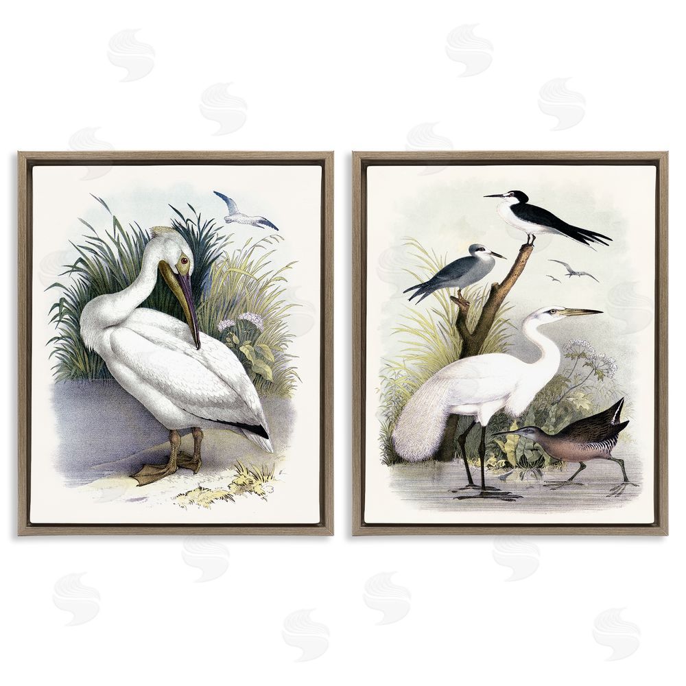 Piddix Wild Pelican Birds Avian Waterside  Brown Floating Frame Canvas Wall Art Print