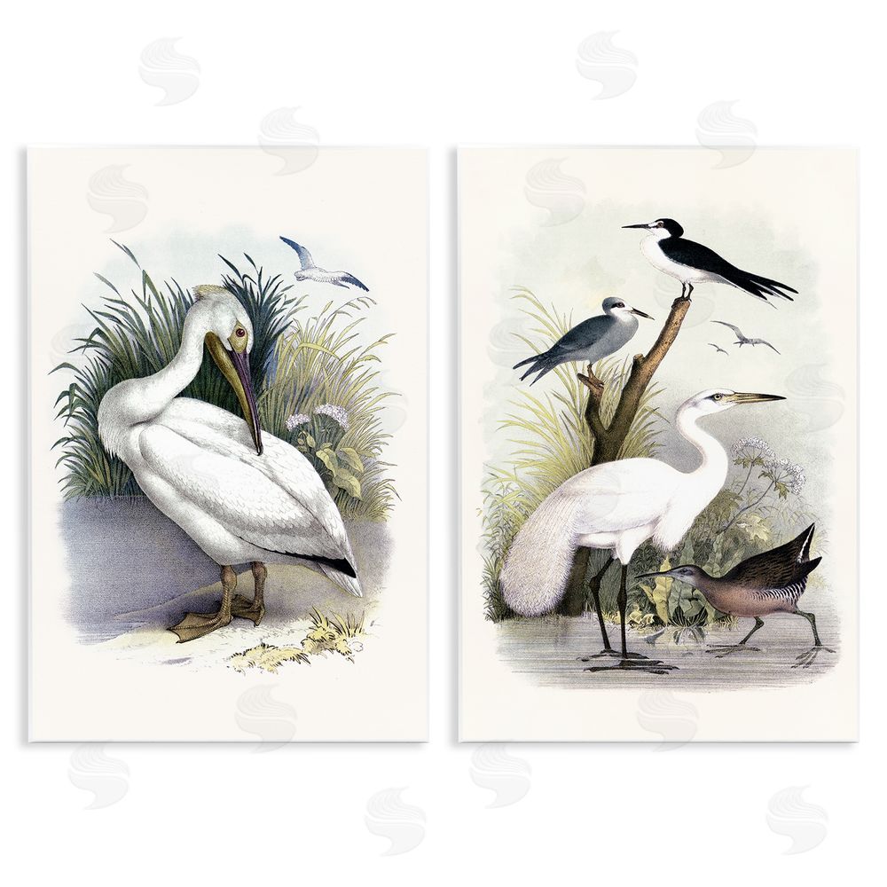 Piddix Wild Pelican Birds Avian Waterside  Wooden Wall Plaque Art Print