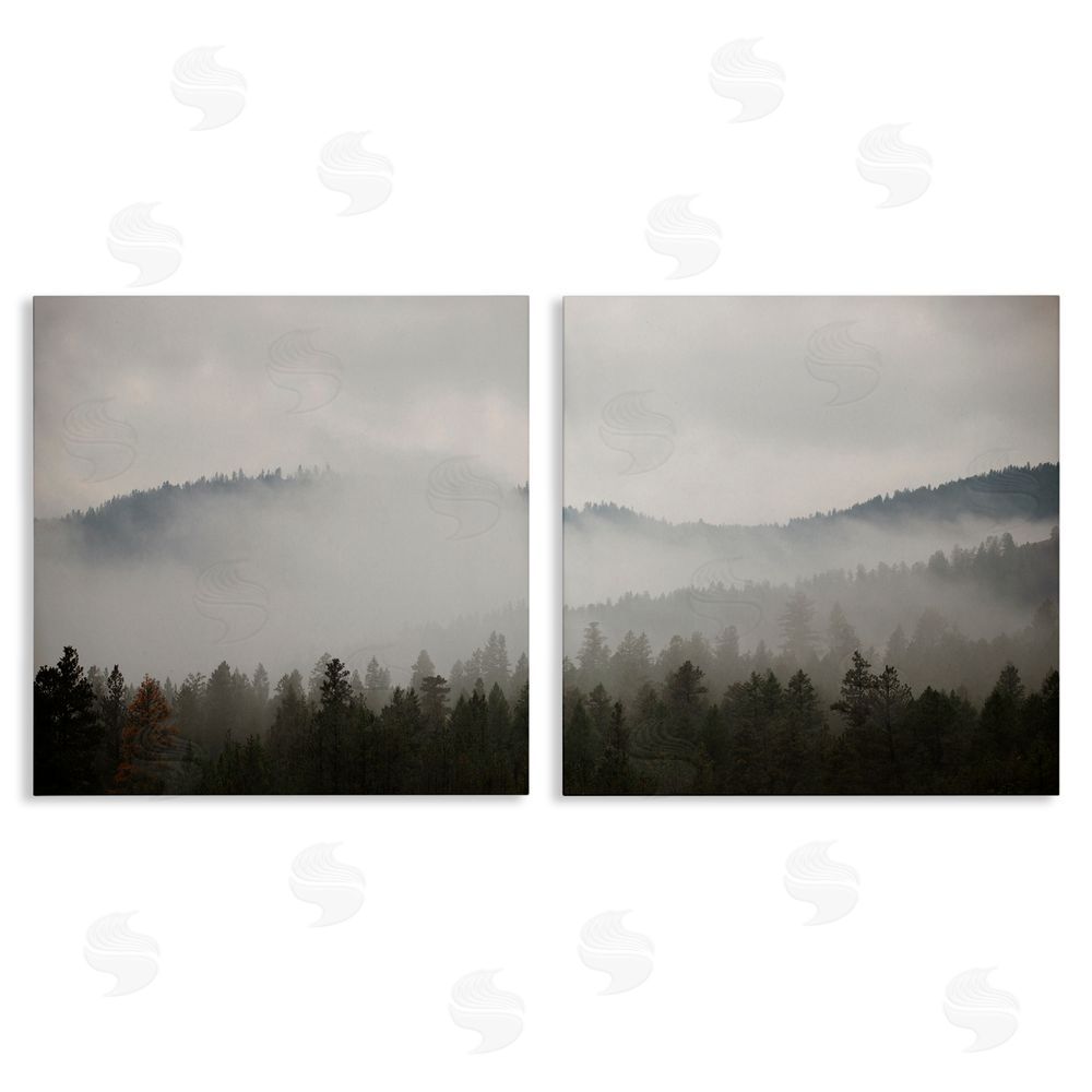 Carol Robinson Quiet Foggy Mountain Forest Nature Canvas Wall Art Print