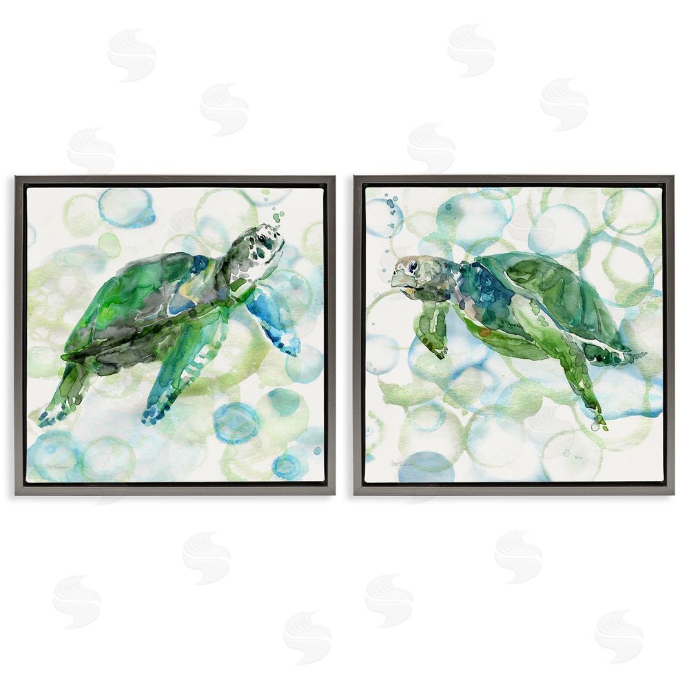 Carol Robinson Swimming Sea Turtle Floating Beach Bubbles  Gray Floating Frame Canvas Wall Art Print