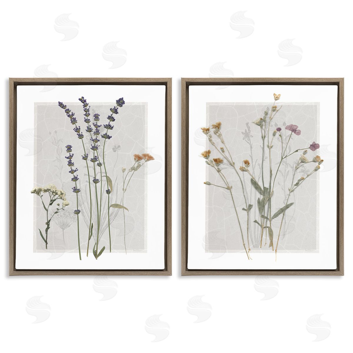Delicate Wildflower Herb Sprigs Brown Floating Frame Canvas Wall Art, Home Decor by Carol Robinson