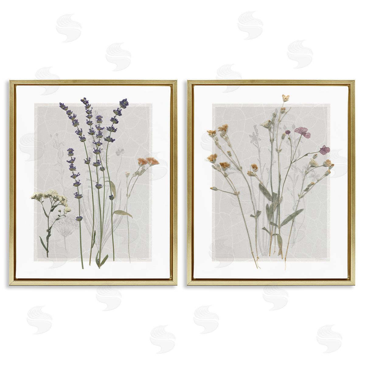 Delicate Wildflower Herb Sprigs Gold Floating Frame Canvas Wall Art, Home Decor by Carol Robinson