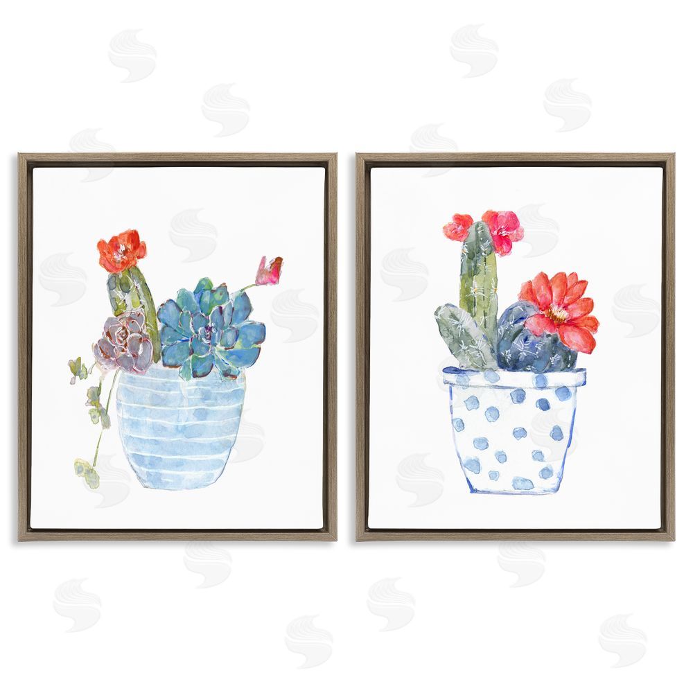 Sally Swatland Vivid Cactus Blossoms Potted Brown Floating Frame Canvas Wall Art Print