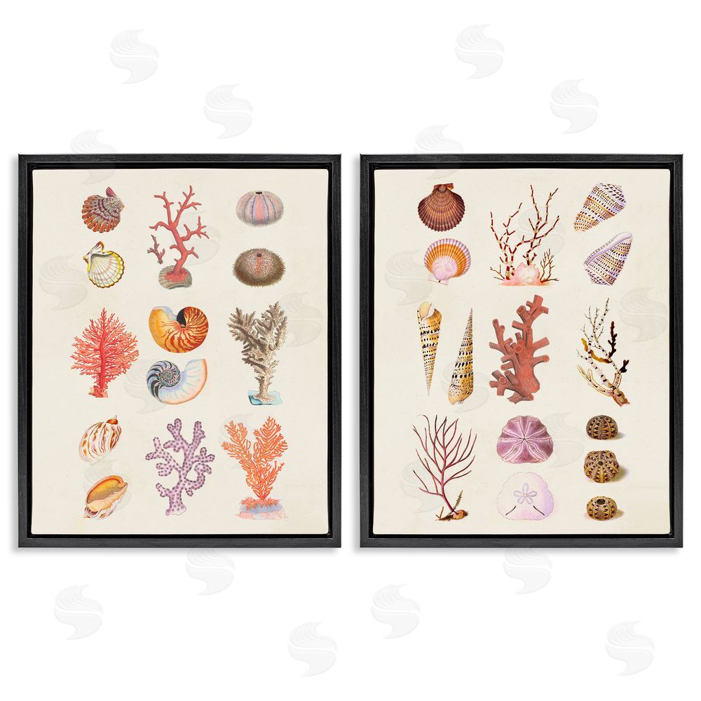 Vision Studio Varied Aquatic Sea Life Black Floating Frame Canvas Wall Art Print
