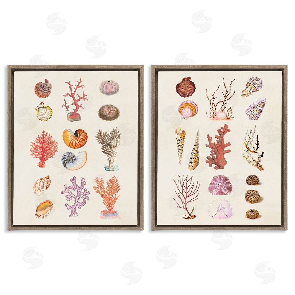 Vision Studio Varied Aquatic Sea Life Brown Floating Frame Canvas Wall Art Print