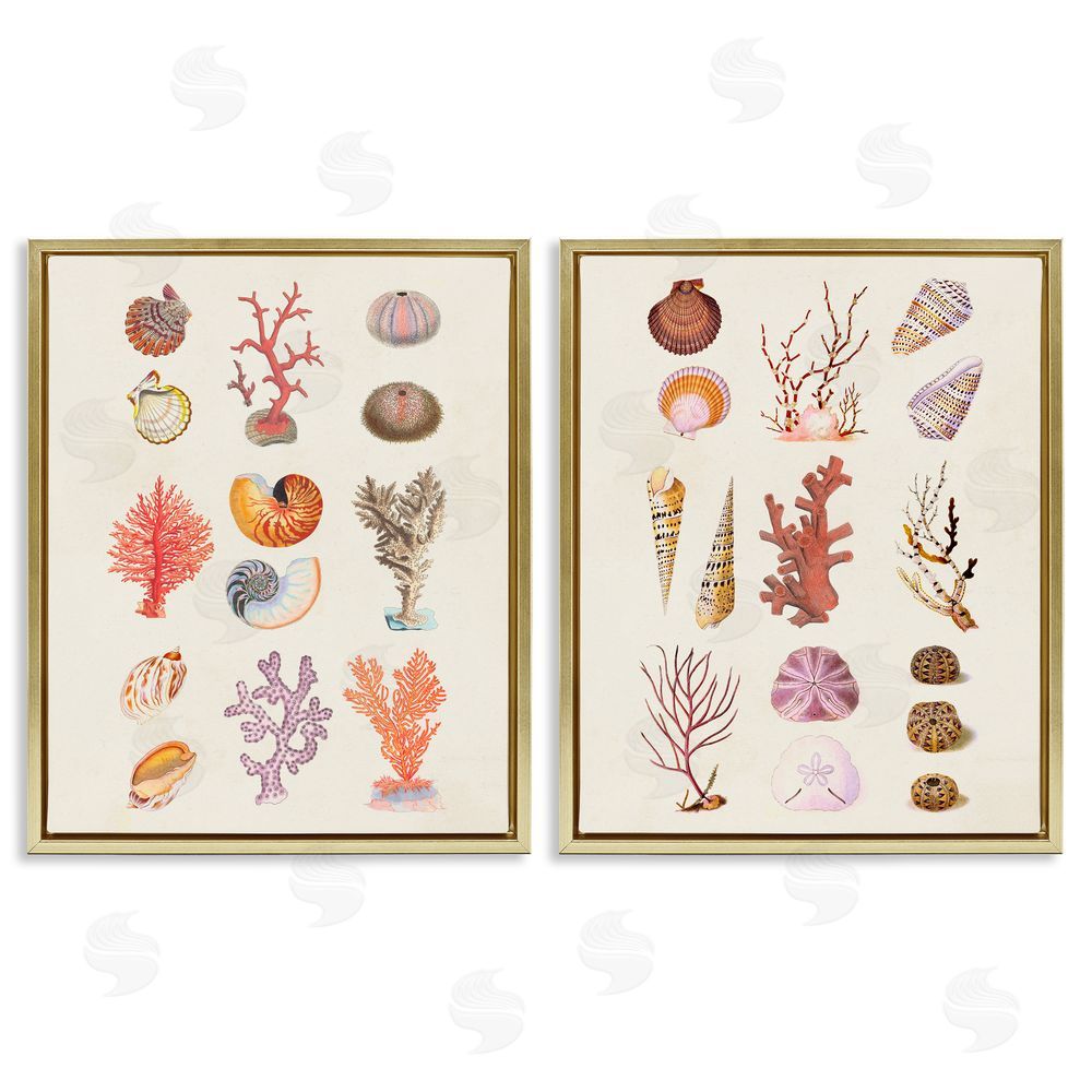 Vision Studio Varied Aquatic Sea Life Gold Floating Frame Canvas Wall Art Print