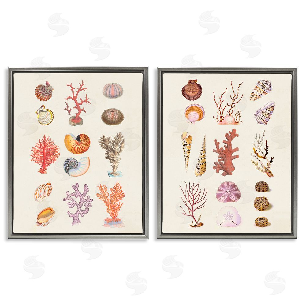 Vision Studio Varied Aquatic Sea Life Gray Floating Frame Canvas Wall Art Print