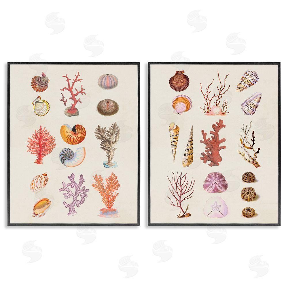 Vision Studio Varied Aquatic Sea Life Black Framed Giclee Wall Art Print