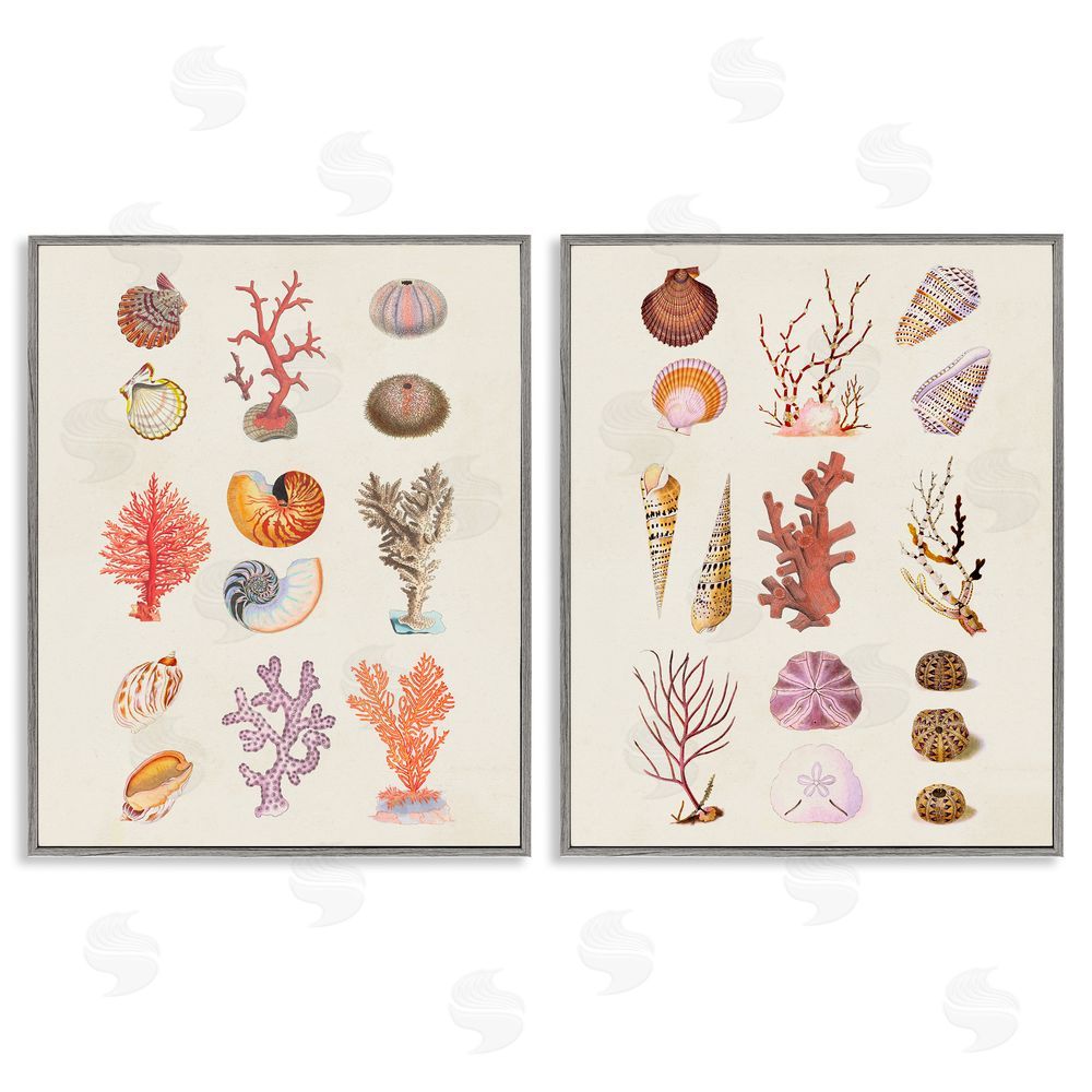 Vision Studio Varied Aquatic Sea Life Gray Framed Giclee Wall Art Print