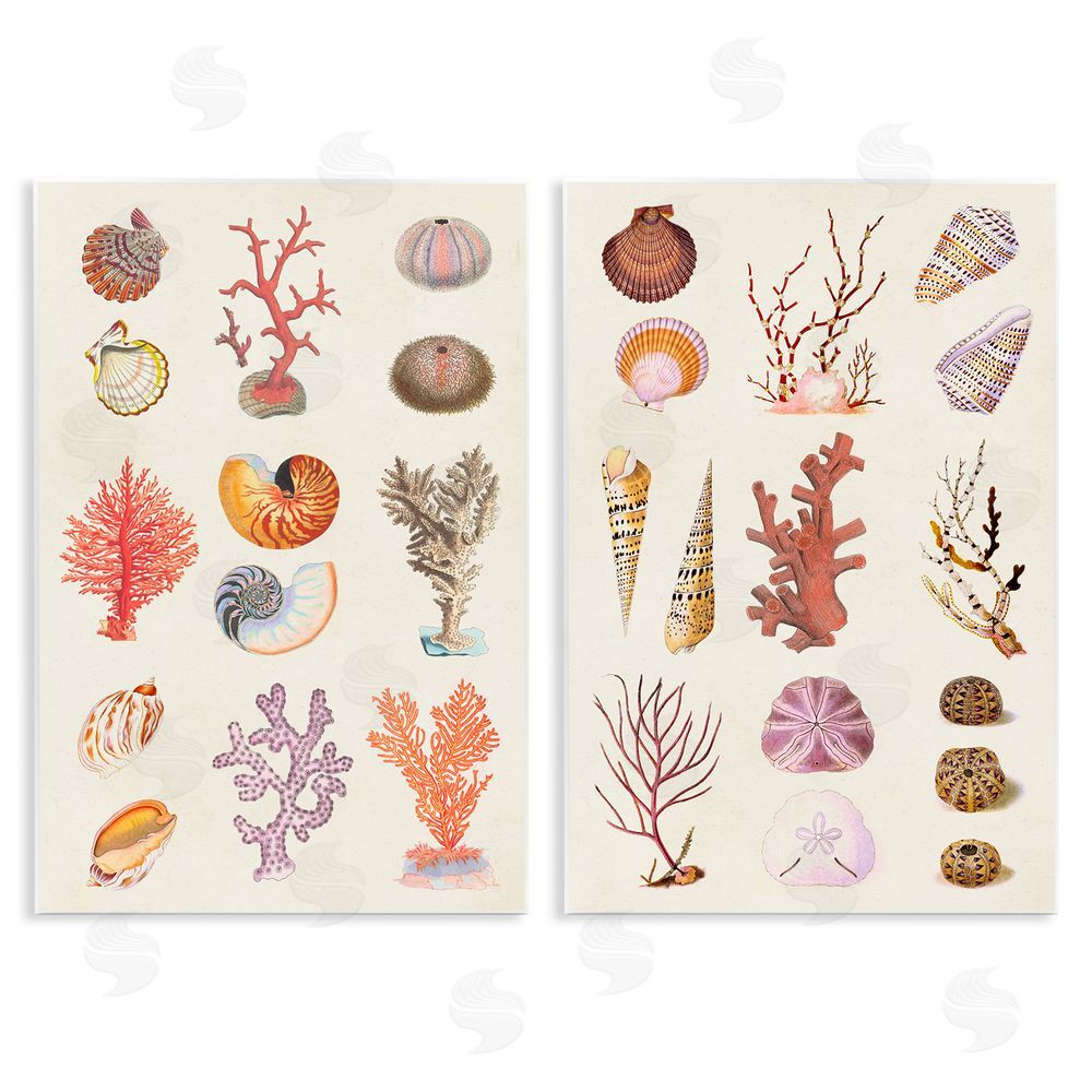 Vision Studio Varied Aquatic Sea Life Wooden Wall Plaque Art Print
