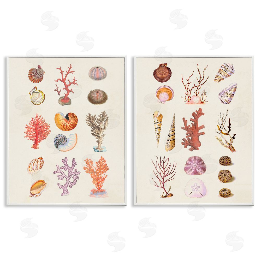 Vision Studio Varied Aquatic Sea Life White Framed Giclee Wall Art Print