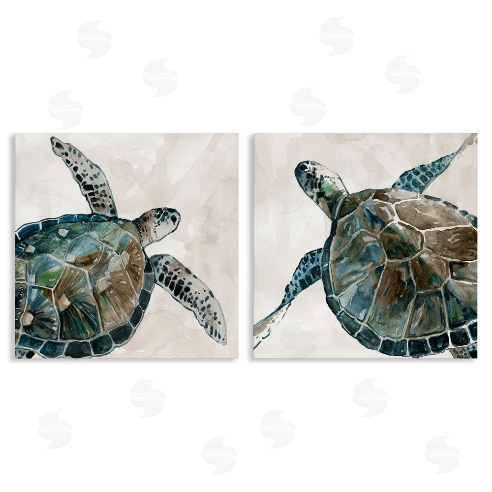 Carol Robinson Aquatic Sea Turtles Swimming Canvas Wall Art Print