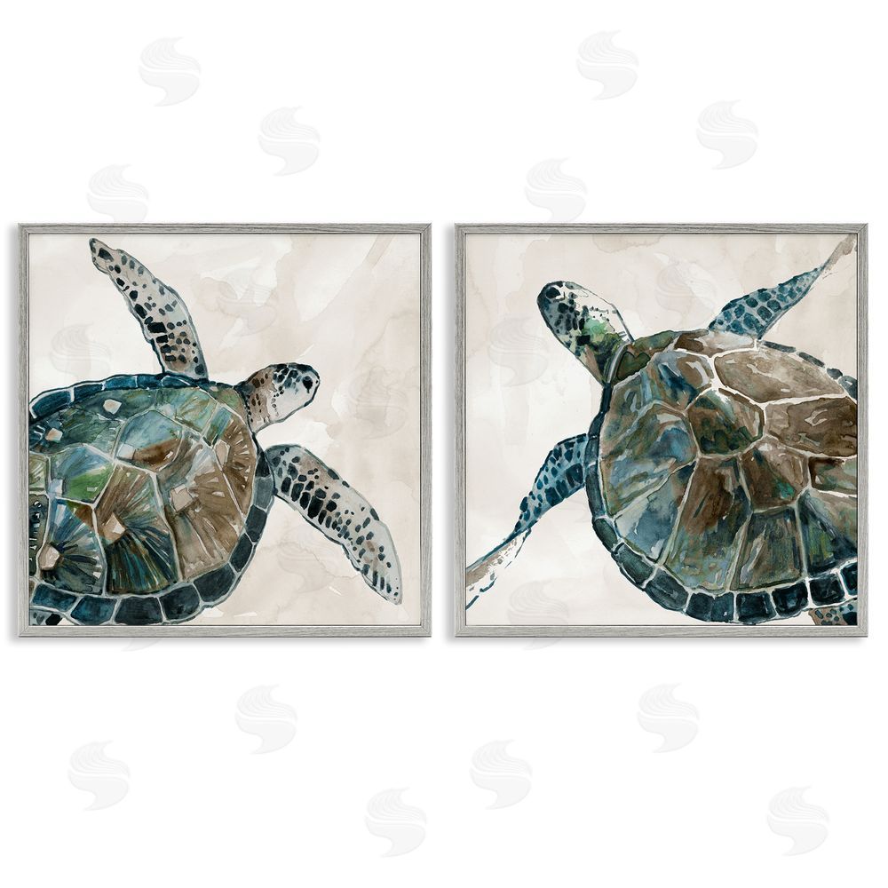 Carol Robinson Aquatic Sea Turtles Swimming Gray Framed Giclee Wall Art Print