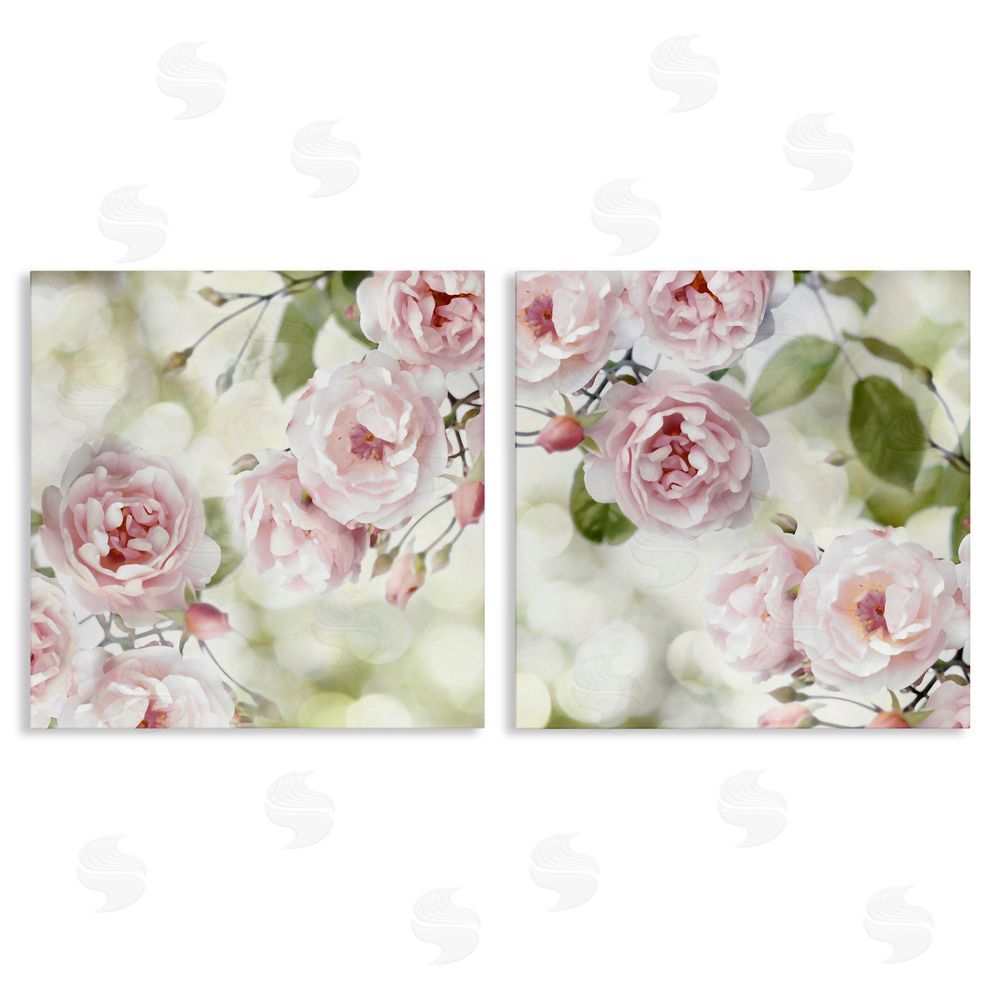 Joanna Lane Blooming Rose Bush Floral Nature Canvas Wall Art Print