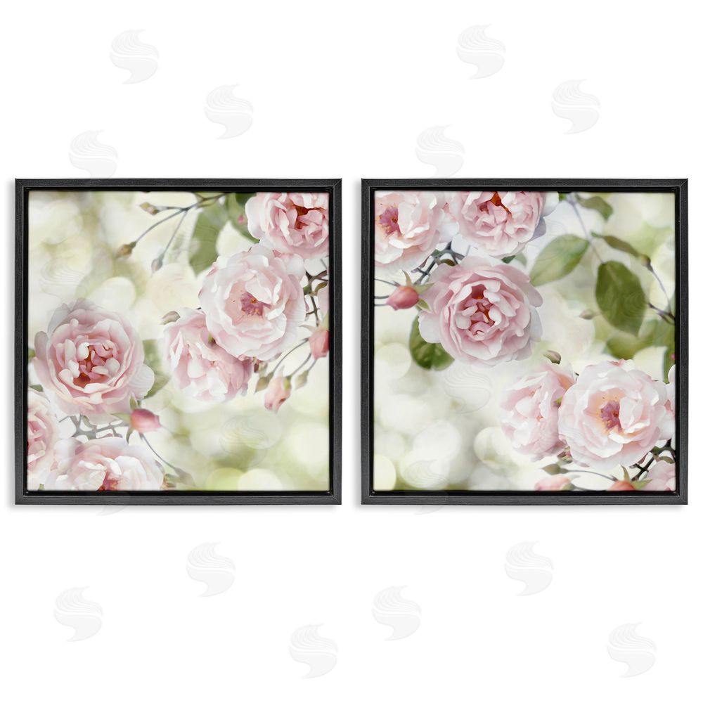 Joanna Lane Blooming Rose Bush Floral Nature Black Floating Frame Canvas Wall Art Print