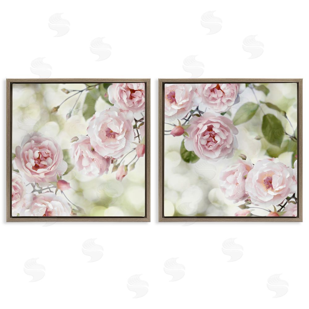Joanna Lane Blooming Rose Bush Floral Nature Brown Floating Frame Canvas Wall Art Print