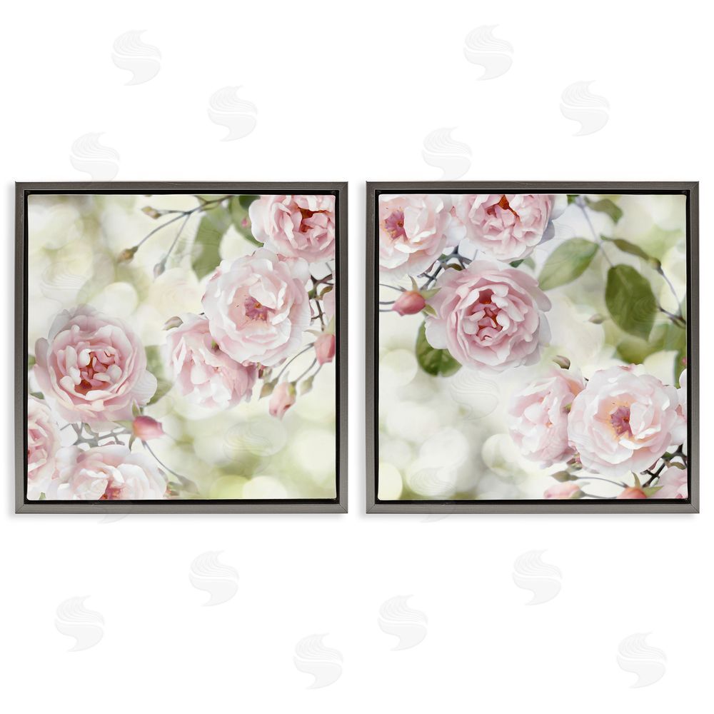 Joanna Lane Blooming Rose Bush Floral Nature Gray Floating Frame Canvas Wall Art Print