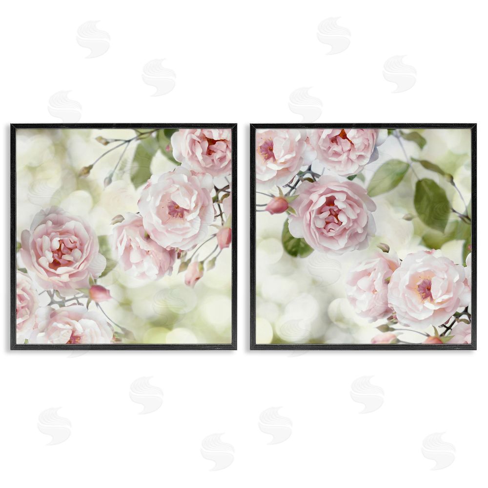Joanna Lane Blooming Rose Bush Floral Nature Black Framed Giclee Wall Art Print