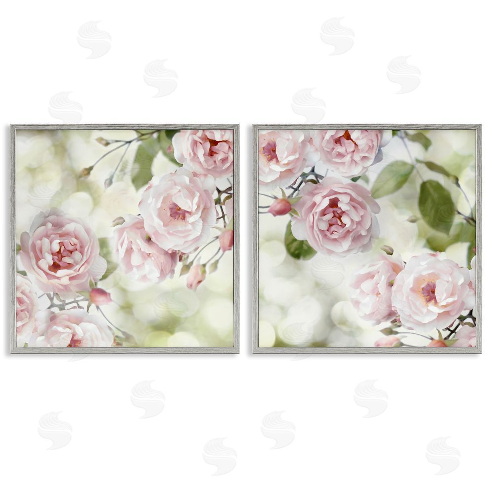 Joanna Lane Blooming Rose Bush Floral Nature Gray Framed Giclee Wall Art Print
