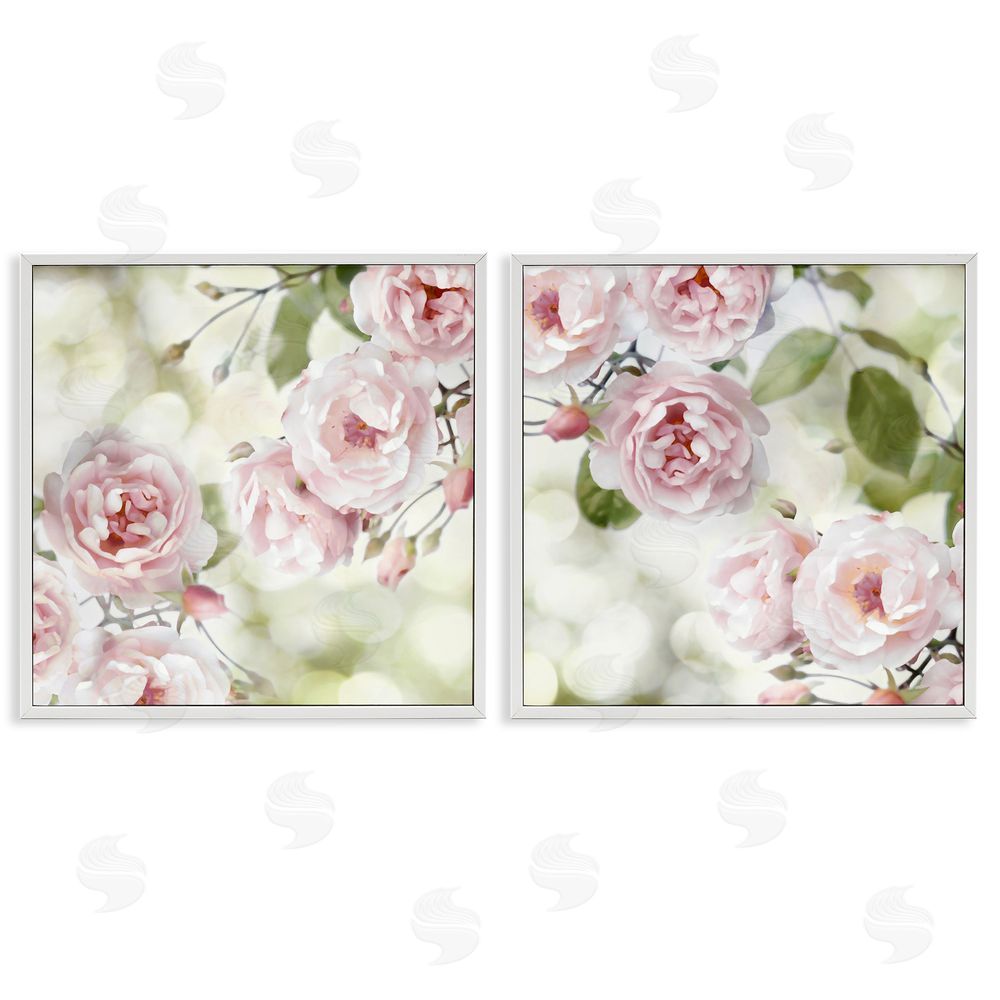 Joanna Lane Blooming Rose Bush Floral Nature White Framed Giclee Wall Art Print