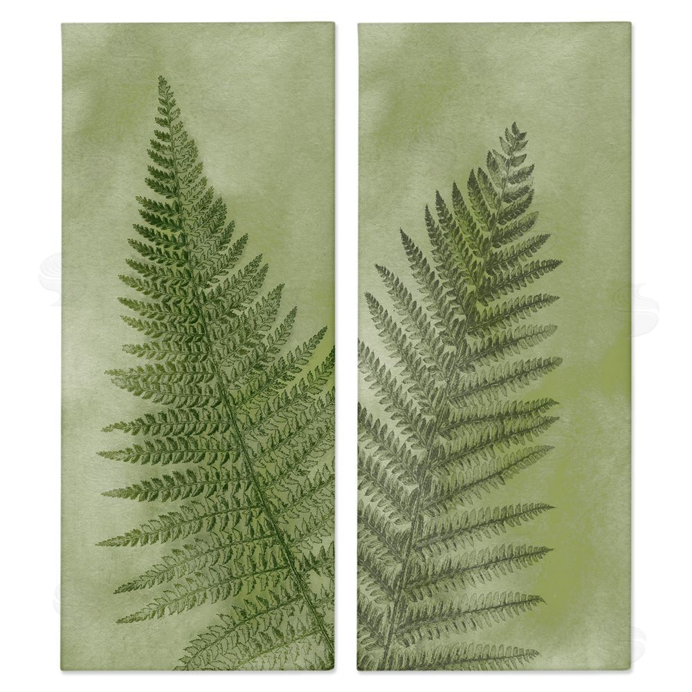 Ziwei Li Woodland Nature Fern Leaves Canvas Wall Art Print