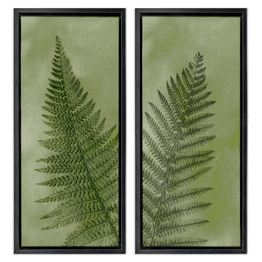 Ziwei Li Woodland Nature Fern Leaves Black Floating Frame Canvas Wall Art Print
