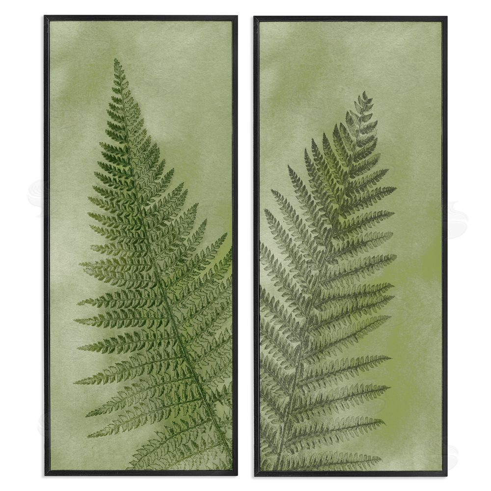 Ziwei Li Woodland Nature Fern Leaves Black Framed Giclee Wall Art Print