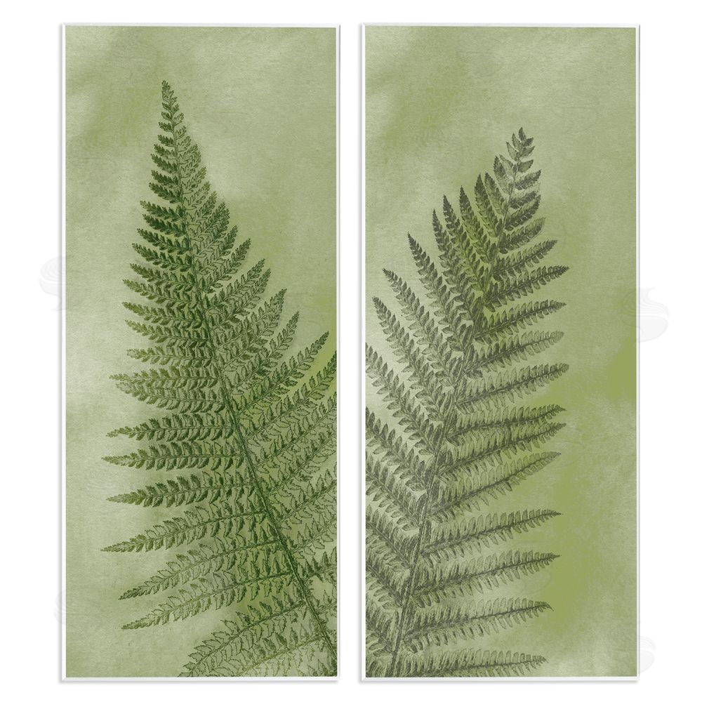 Ziwei Li Woodland Nature Fern Leaves Wooden Wall Plaque Art Print