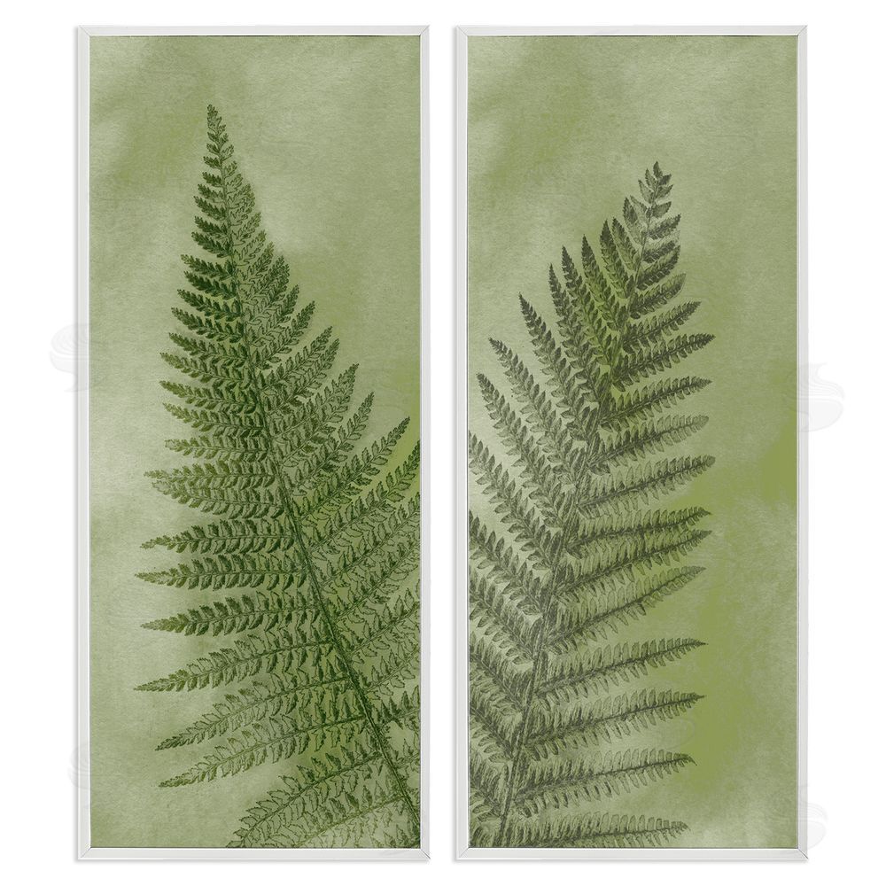 Ziwei Li Woodland Nature Fern Leaves White Framed Giclee Wall Art Print