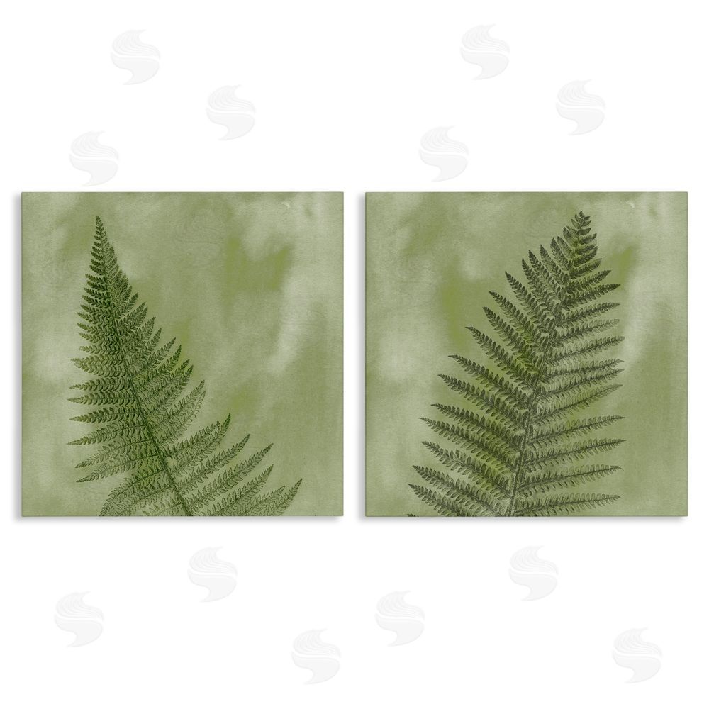 Ziwei Li Fern Sprouts Forest Nature Leaves Canvas Wall Art Print