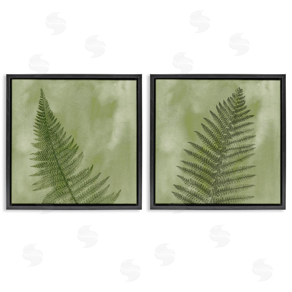 Ziwei Li Fern Sprouts Forest Nature Leaves Black Floating Frame Canvas Wall Art Print