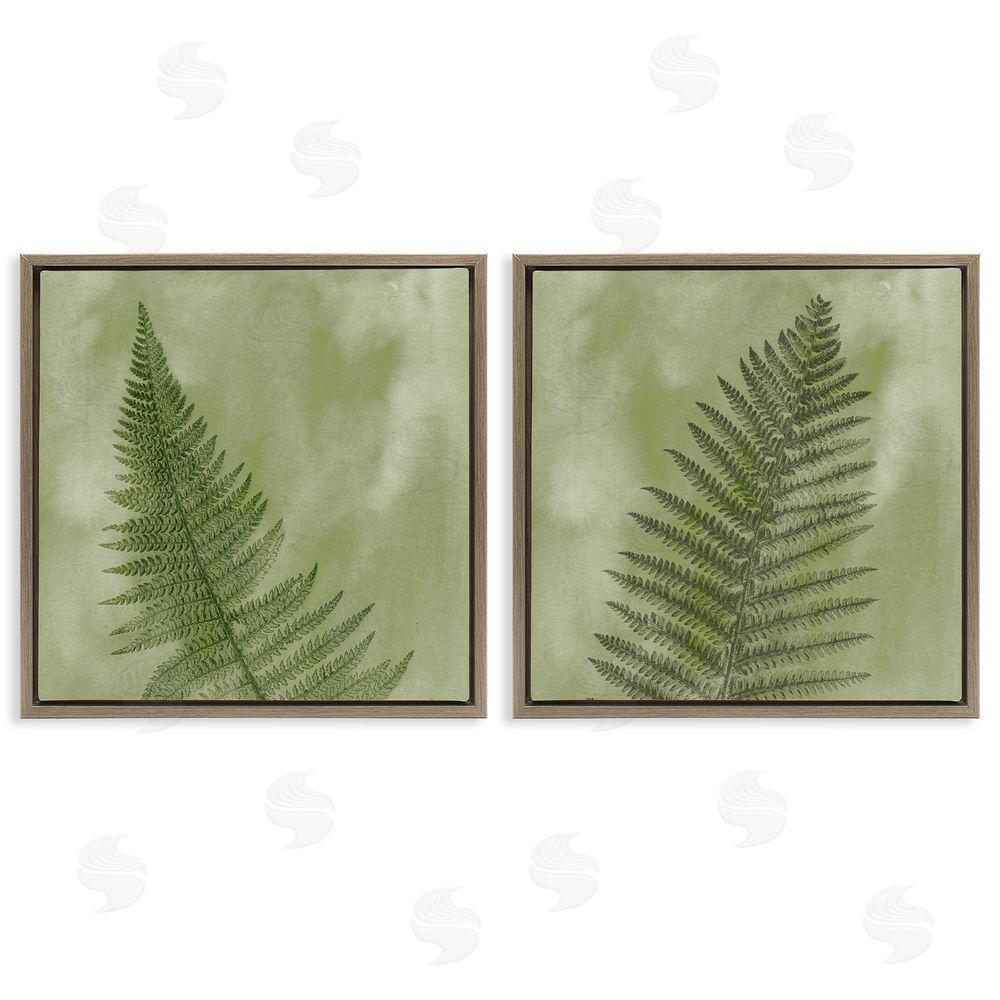 Ziwei Li Fern Sprouts Forest Nature Leaves Brown Floating Frame Canvas Wall Art Print