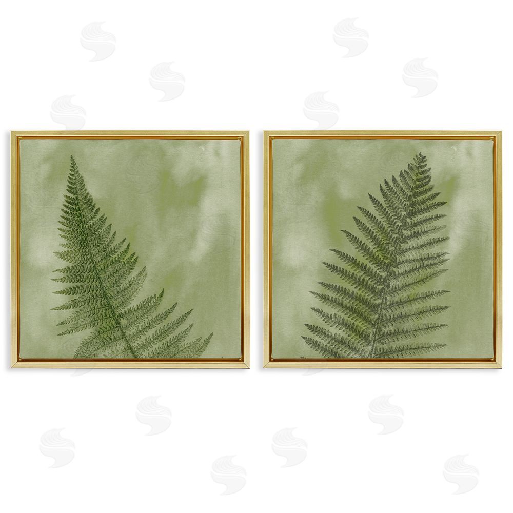 Ziwei Li Fern Sprouts Forest Nature Leaves Gold Floating Frame Canvas Wall Art Print